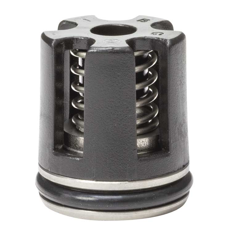 Ventilsatz 17 mm (6 Stück) passend für Kärcher