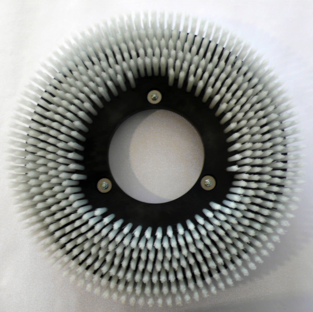 Schrubbbürste, Ø 43cm