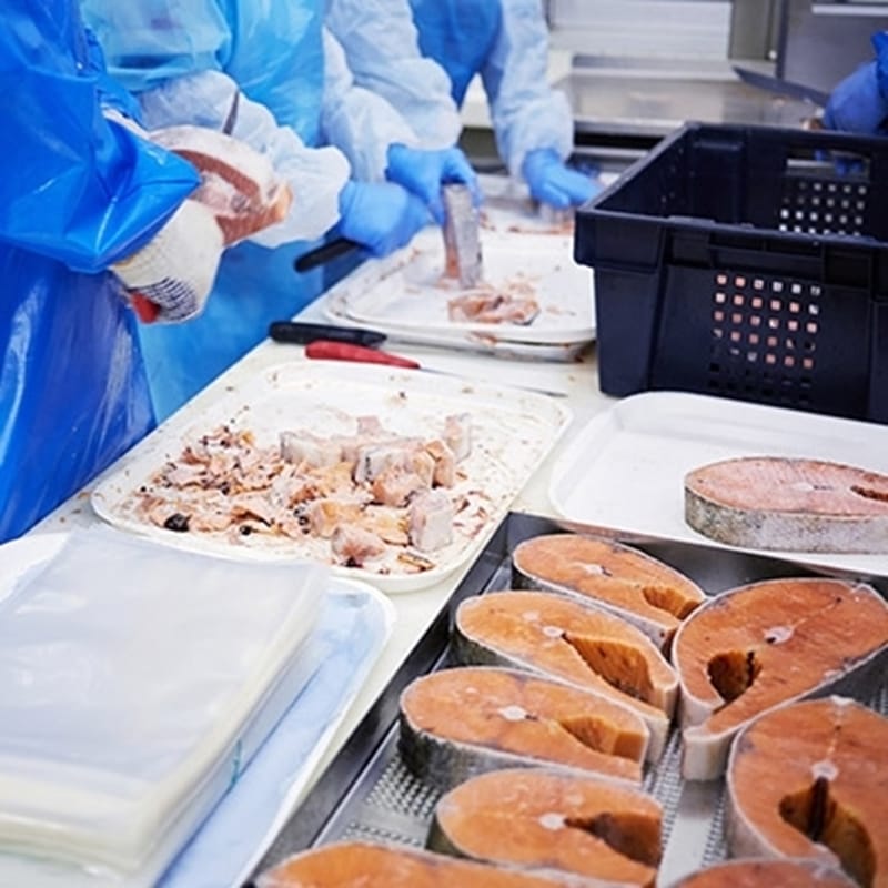 Fischverarbeitungslinien