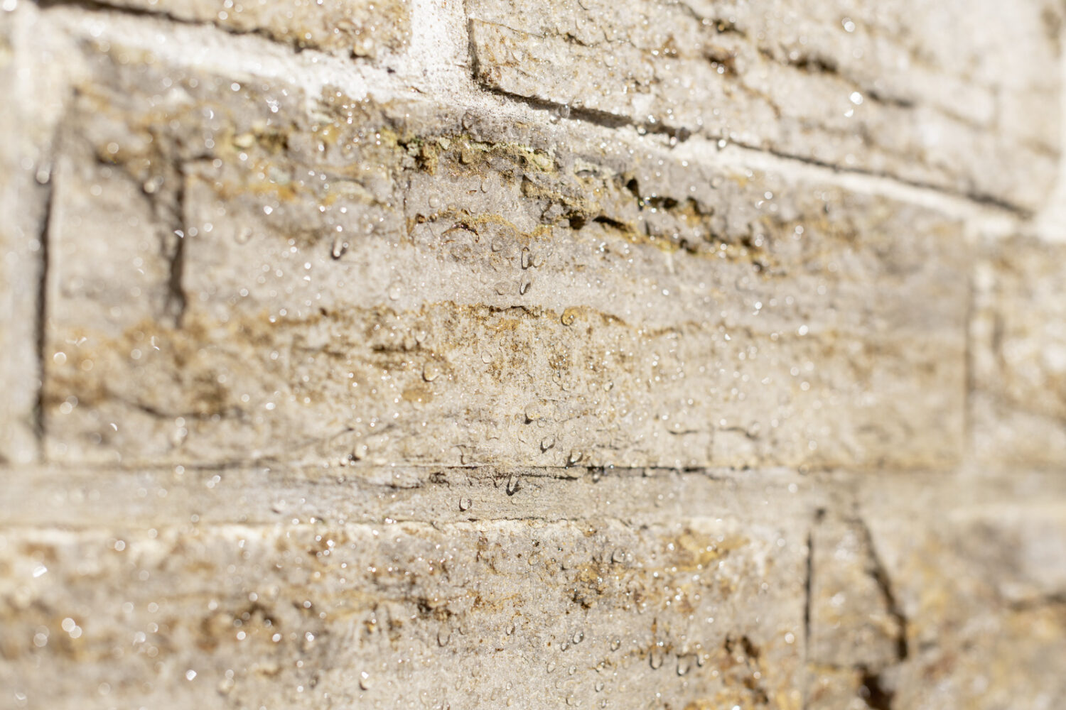 Kärcher Sprühimprägnierer RM 542, 1l – Bild 3